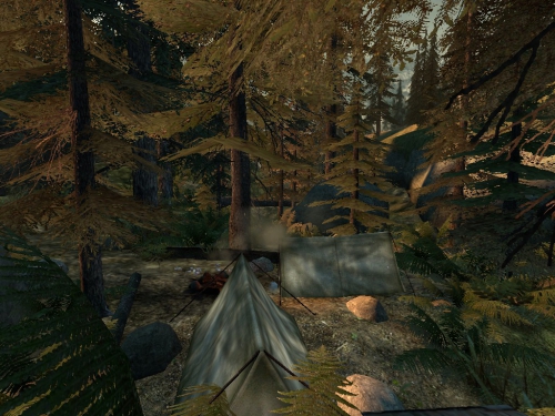 de_forest_2